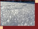 Zmrzlé krupičky sněhu